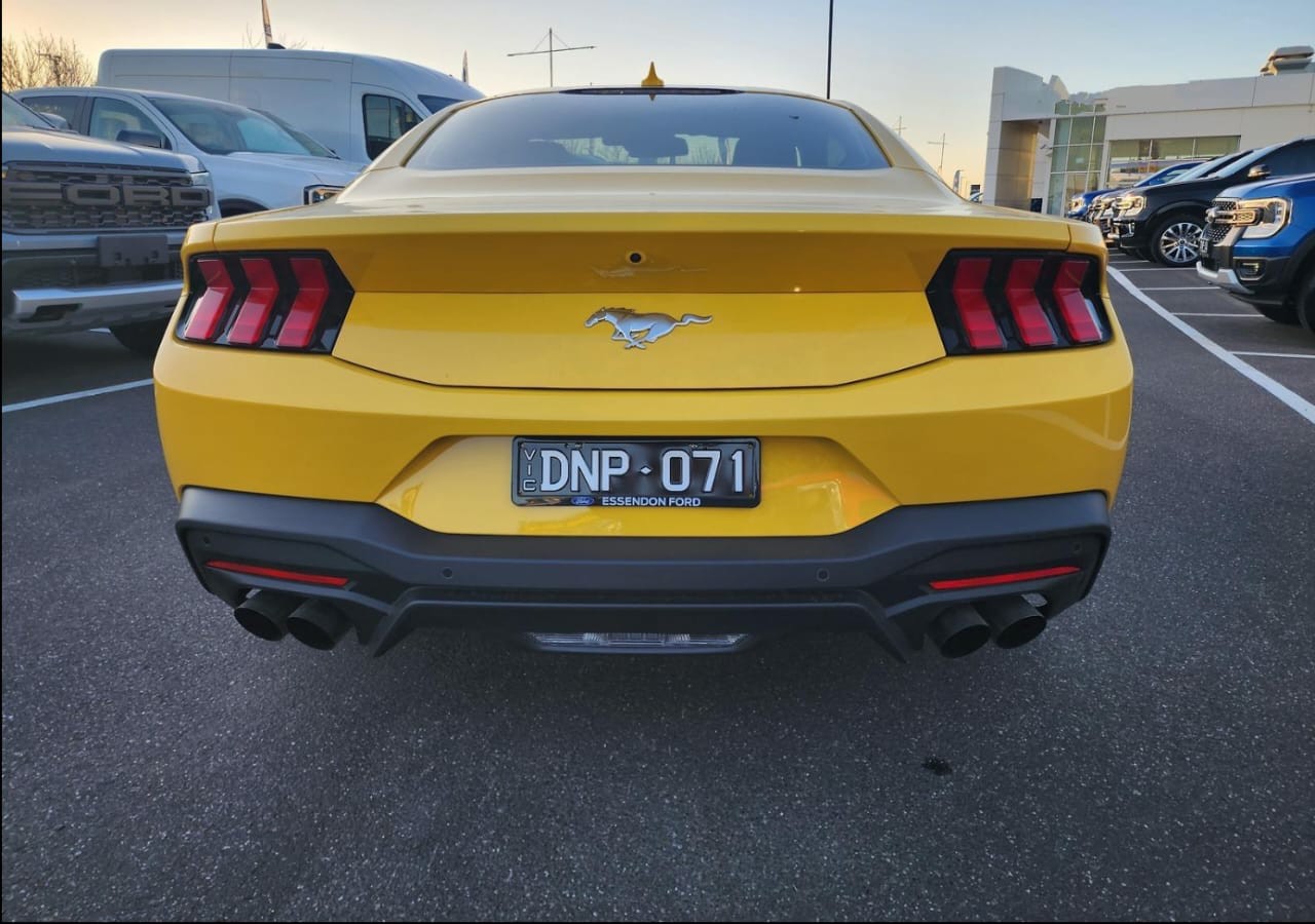 MUSTANG