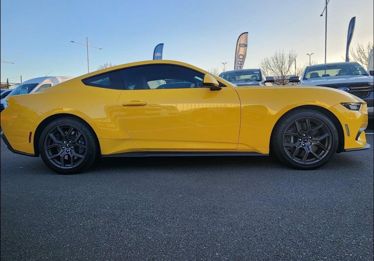 MUSTANG
