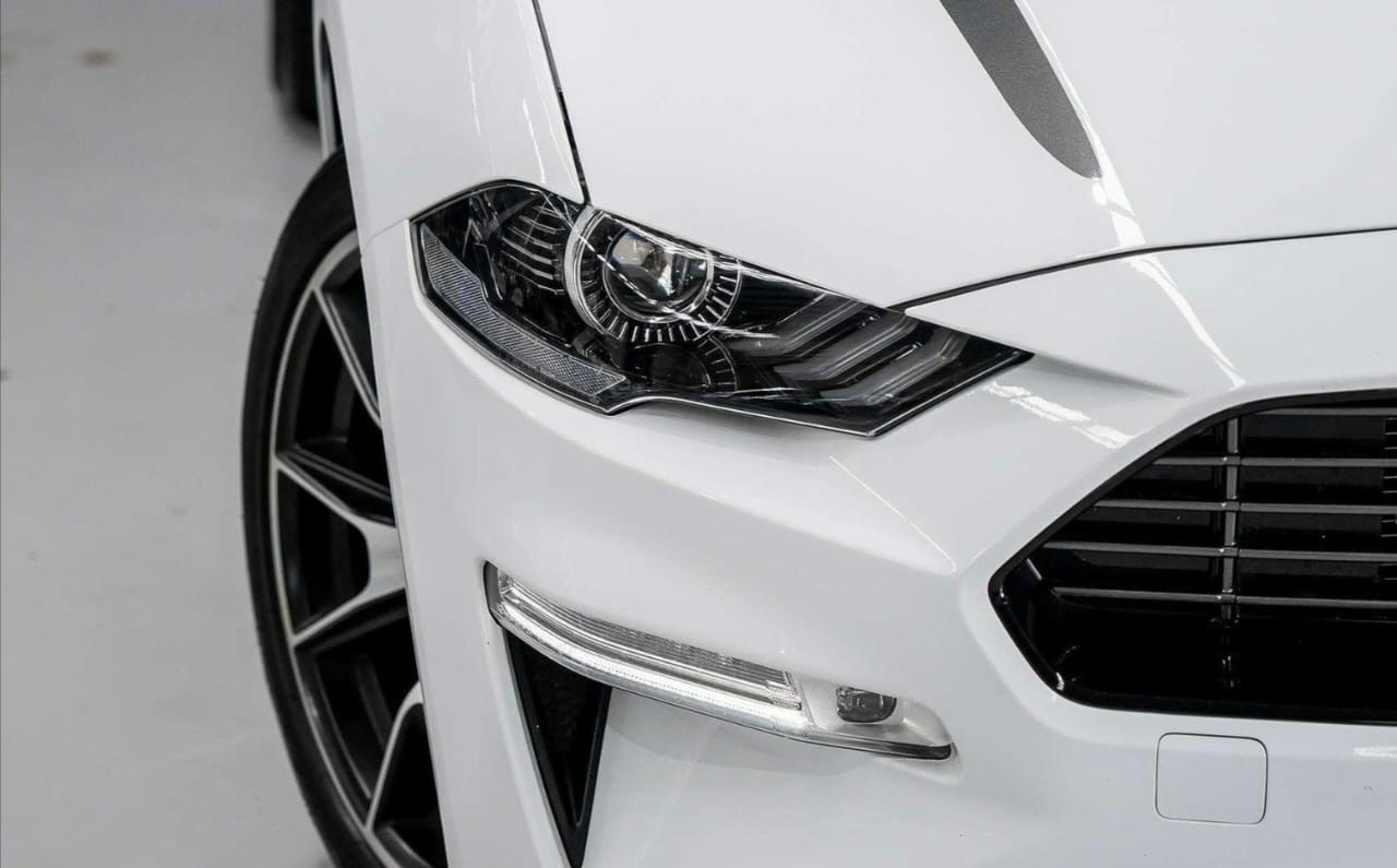 MUSTANG