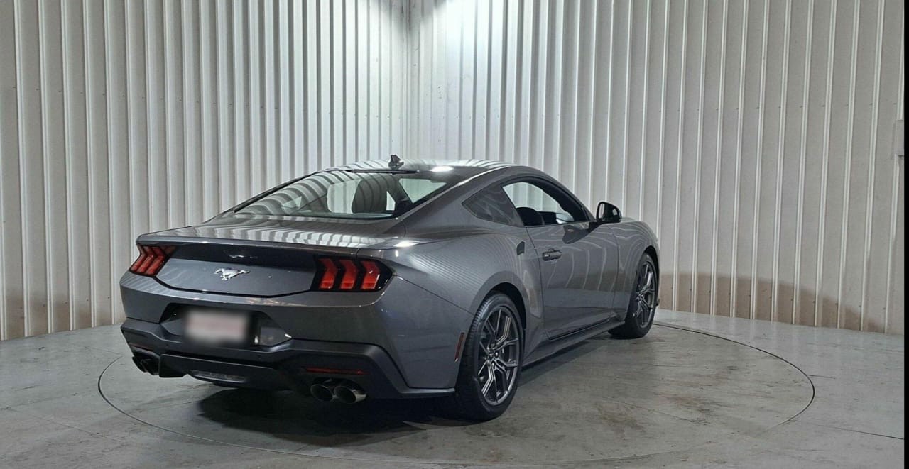 MUSTANG