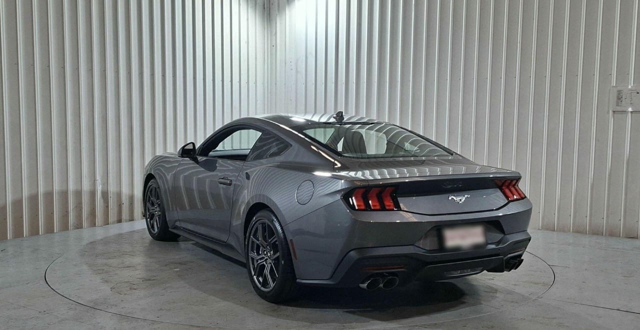 MUSTANG