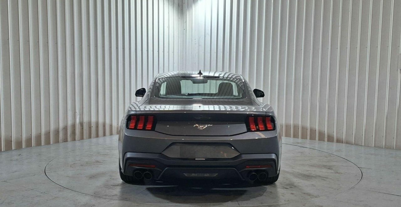 MUSTANG
