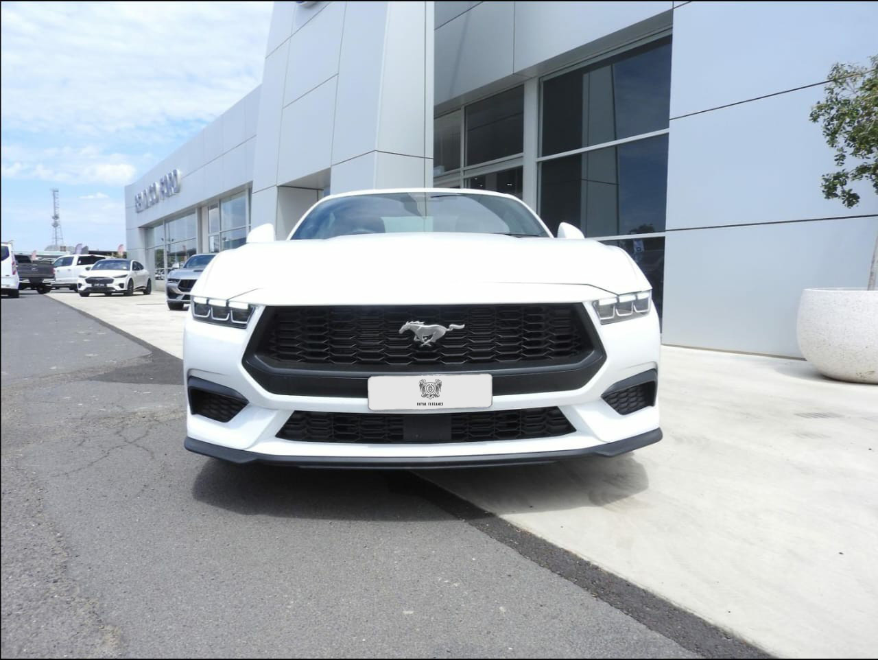 MUSTANG