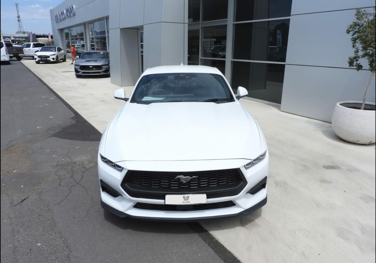 MUSTANG