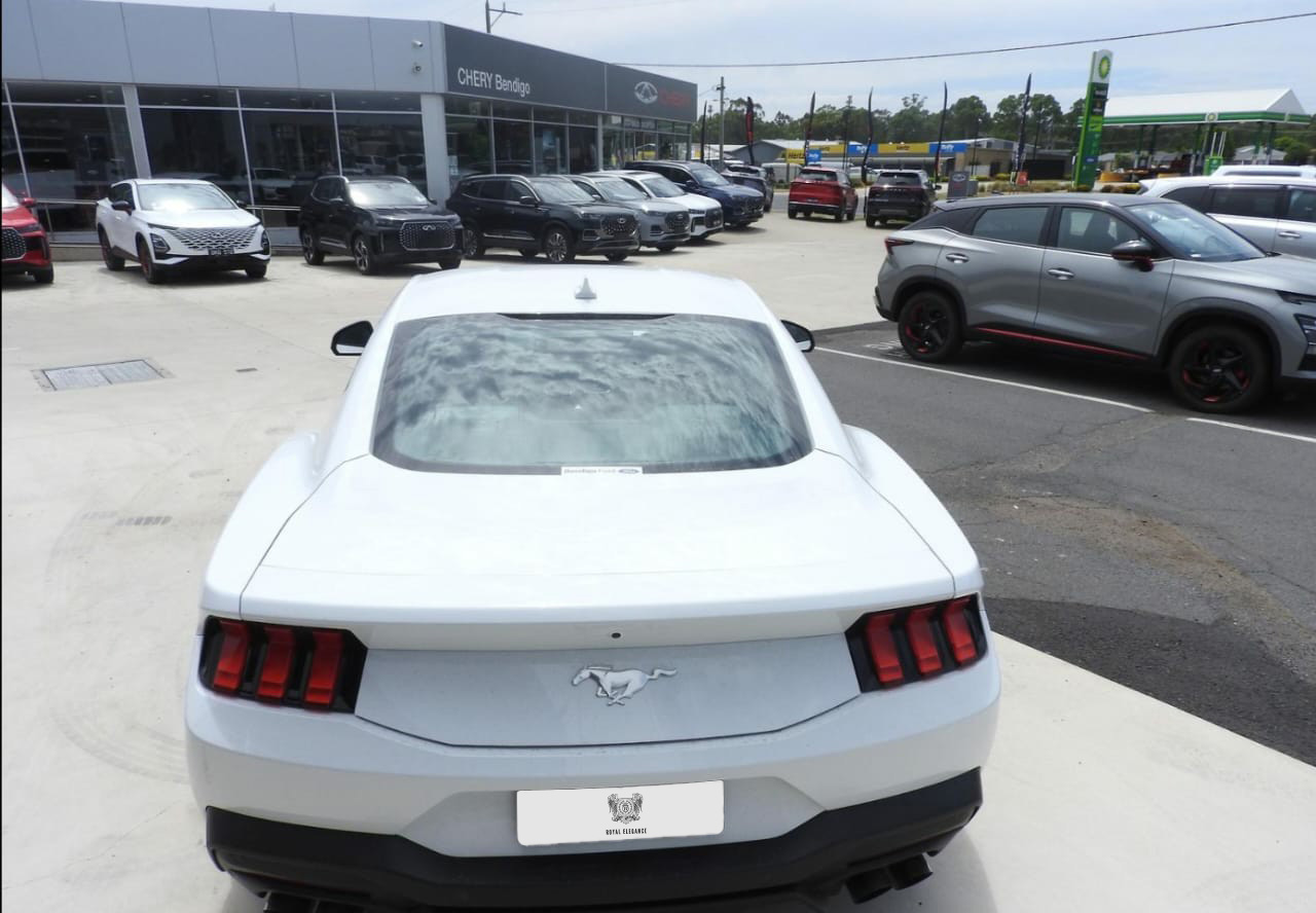 MUSTANG