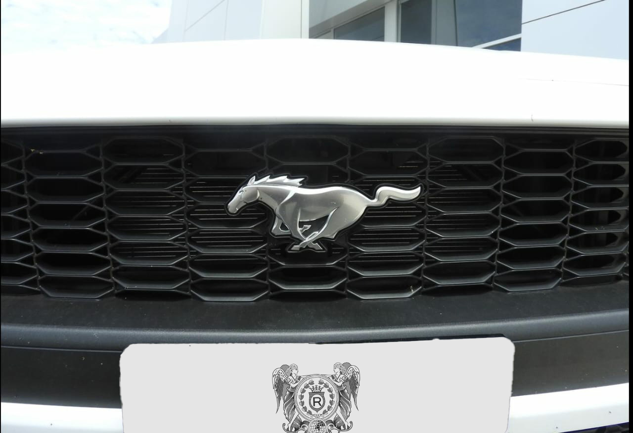 MUSTANG
