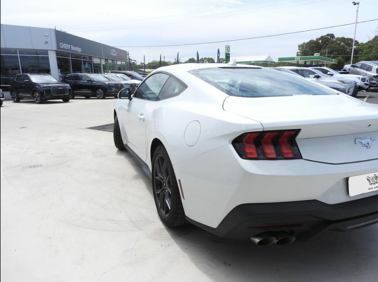 MUSTANG