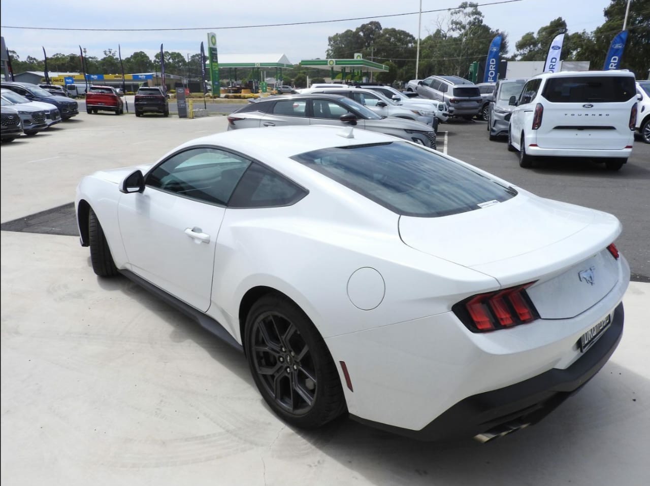 MUSTANG