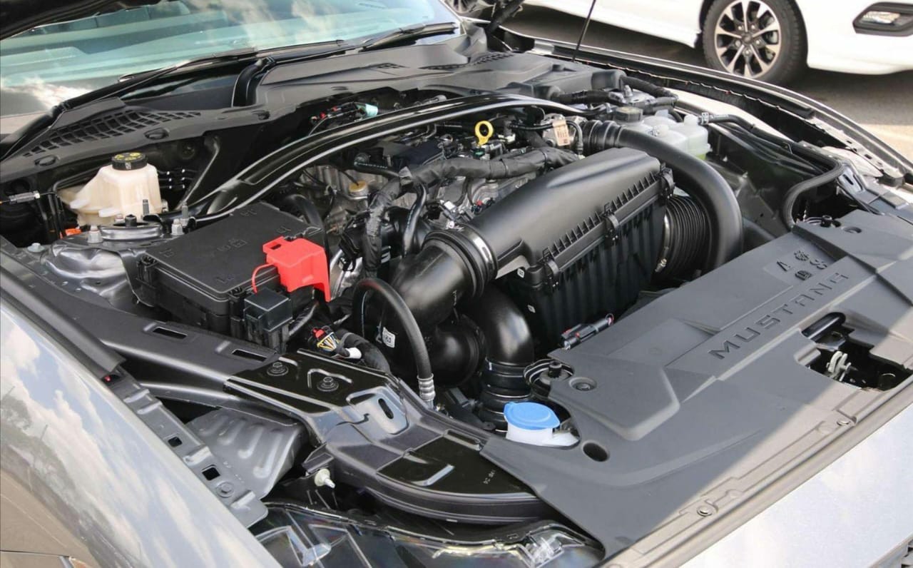 MUSTANG