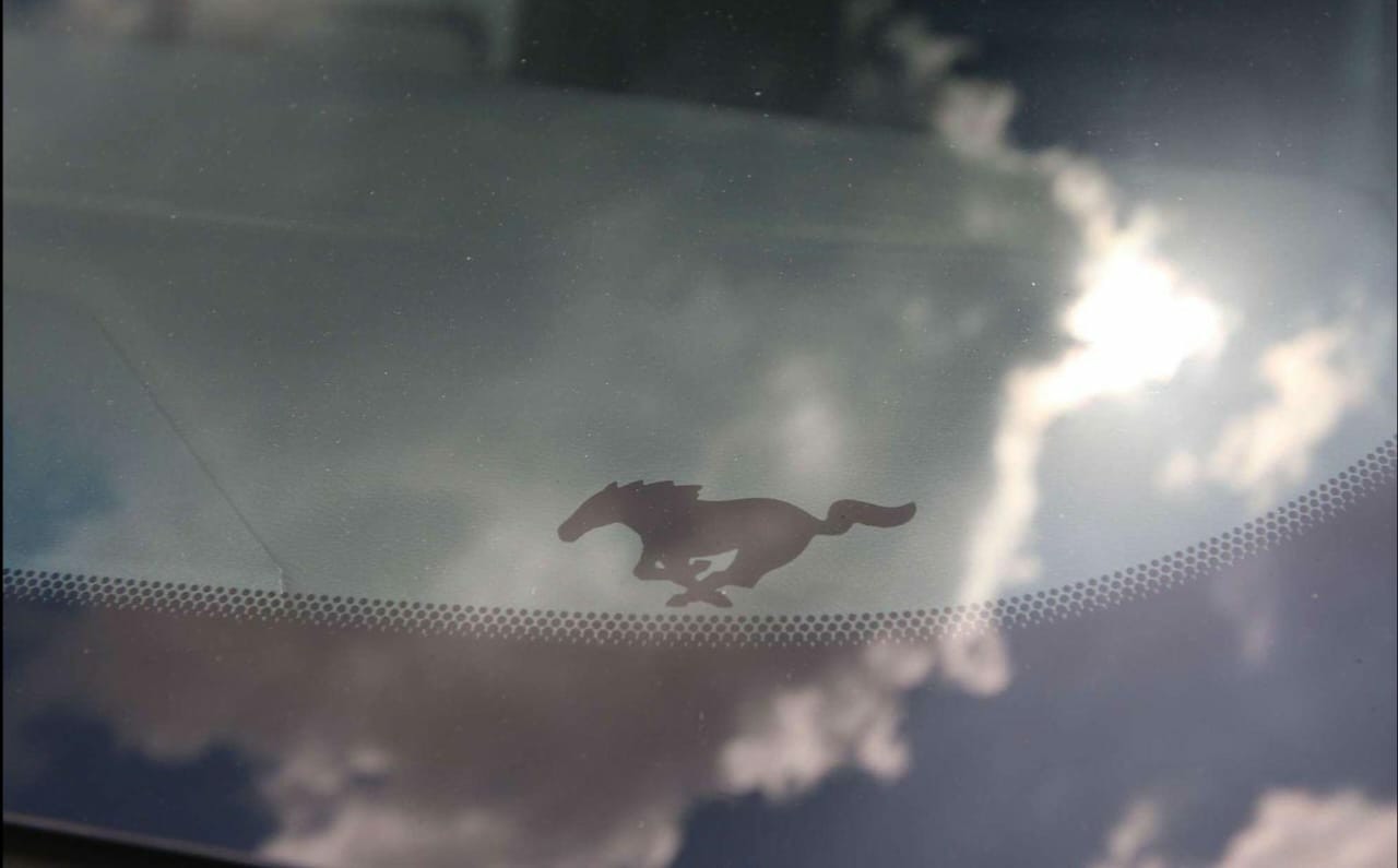 MUSTANG