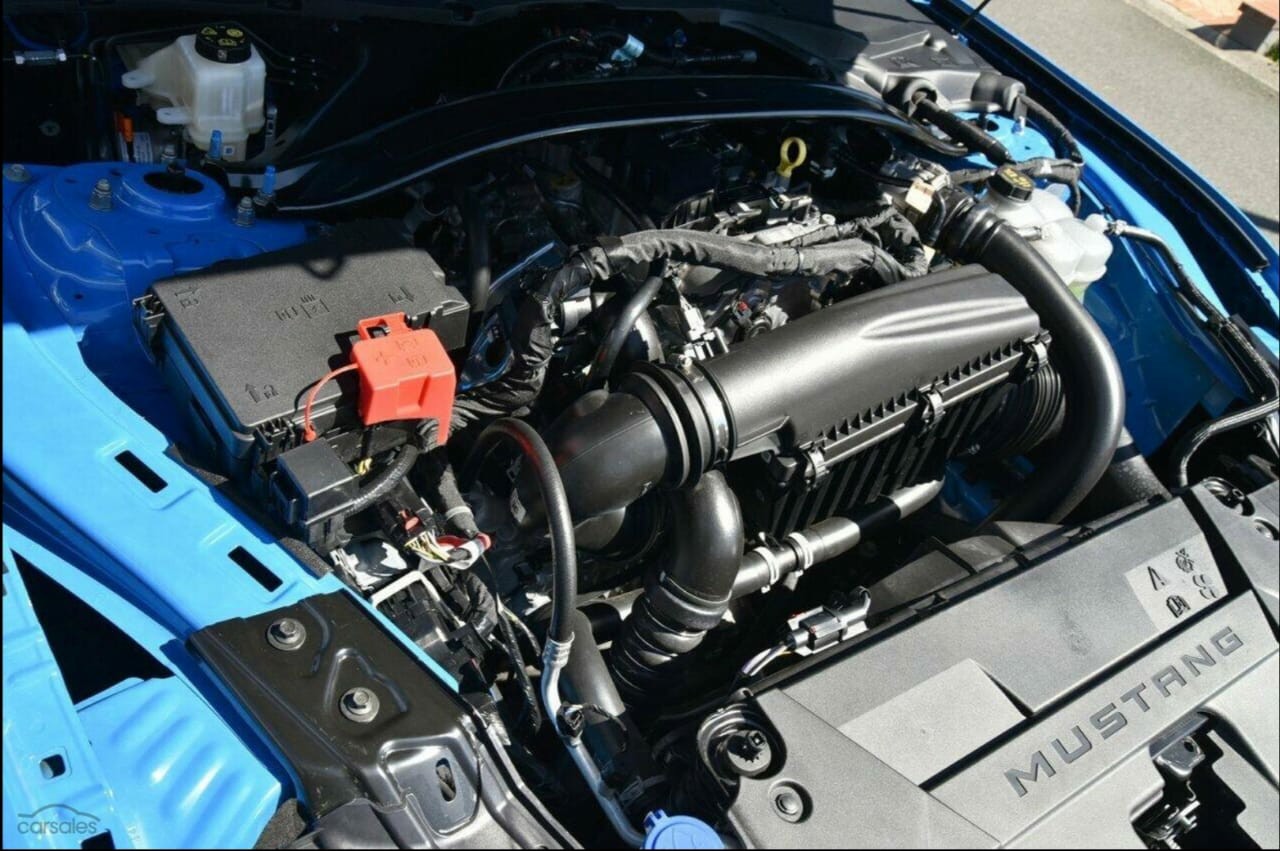 MUSTANG